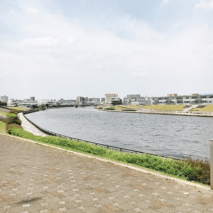The Arakawa River outside my family's home in Tokyo